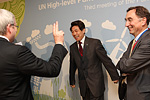 YK:n kestävän kehityksen paneelin kokous Helsingissä 16.-17.5.2011. Copyright © Tasavallan presidentin kanslia